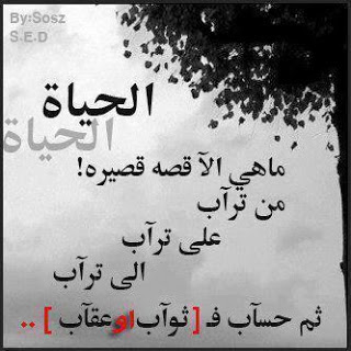 صور رومانسيه مكتوب عليها صور عبارات رومانسية صور مكتوب عليها صور رومانسيه مكتوب عليها صور عبارات رومانسية صور مكتوب عليها