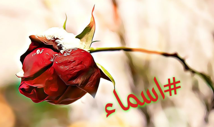صور اسم اسماء معنى إسم اسماء صفات أسم اسماء صور اسم اسماء معنى إسم اسماء صفات أسم اسماء
