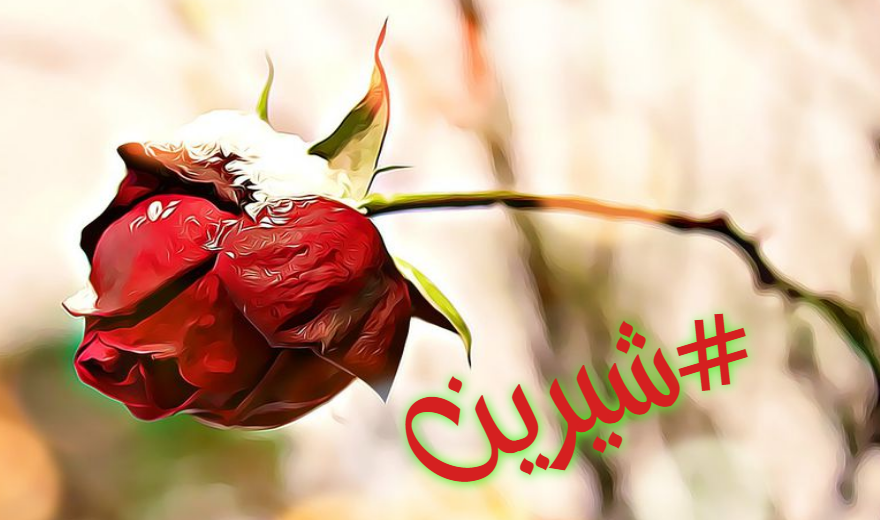 صور اسم شيرين معنى إسم شيرين صفات أسم شيرين صور اسم شيرين معنى إسم شيرين صفات أسم شيرين