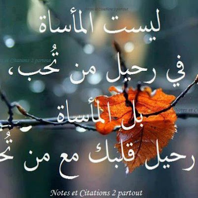 صور رومانسيه مكتوب عليها صور عبارات رومانسية صور مكتوب عليها صور رومانسيه مكتوب عليها صور عبارات رومانسية صور مكتوب عليها