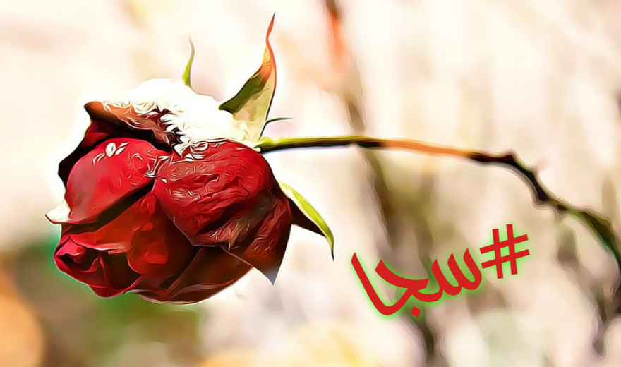 صور اسم سجى معنى إسم سجى صفات أسم سجى صور اسم سجى معنى إسم سجى صفات أسم سجى
