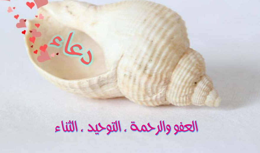 صور اسم دعاء معنى إسم دعاء صفات أسم دعاء صور اسم دعاء معنى إسم دعاء صفات أسم دعاء