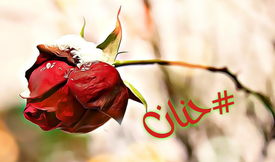 صور اسم حنان معنى إسم حنان صفات أسم حنان صور اسم حنان معنى إسم حنان صفات أسم حنان