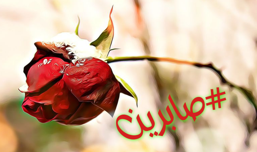 صور اسم صابرين معنى إسم صابرين صفات أسم صابرين صور اسم صابرين معنى إسم صابرين صفات أسم صابرين