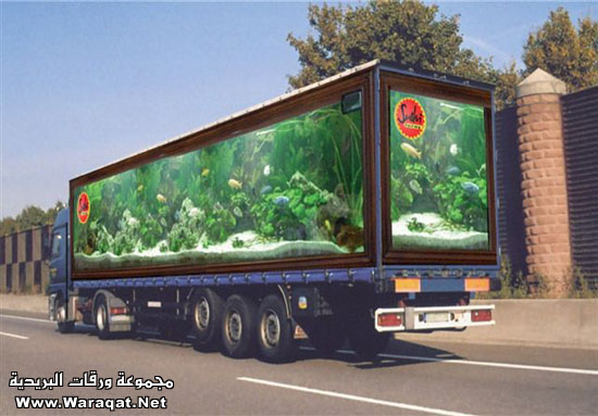 صور خداع بصري optical illusion Photo صور خداع بصري optical illusion Photo