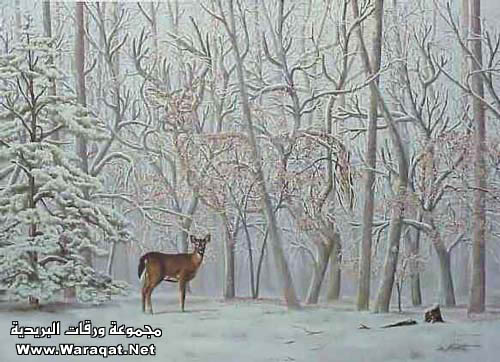 صور خداع بصري optical illusion Photo صور خداع بصري optical illusion Photo