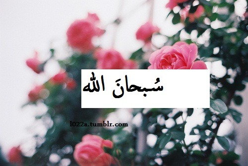صور اسلاميه خلفيات اسلاميه صور ادعيه و خلفيات صور اسلاميه خلفيات اسلاميه صور ادعيه و خلفيات