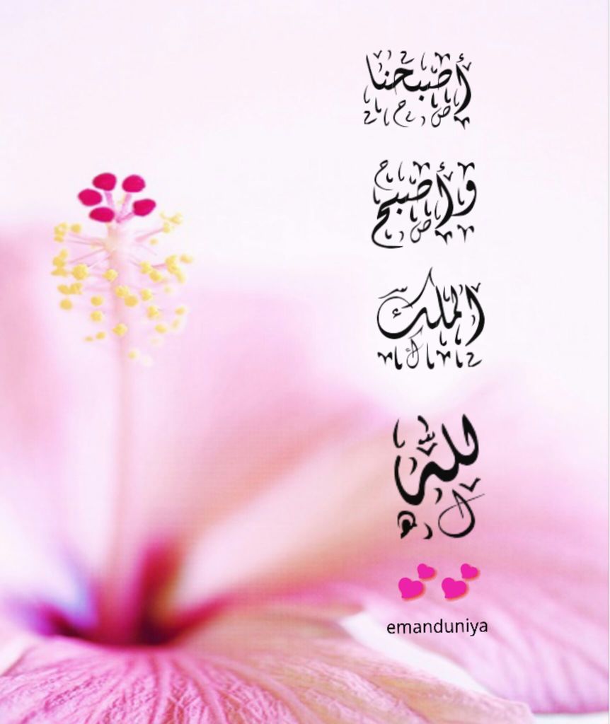 صور صباح الخير خلفيات صباحيات رمزيات مكتوب عليها كلمات الصباح صور صباح الخير خلفيات صباحيات رمزيات مكتوب عليها كلمات الصباح