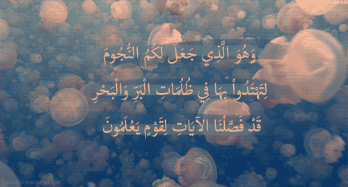 صور اسلاميه خلفيات اسلاميه صور ادعيه و خلفيات صور اسلاميه خلفيات اسلاميه صور ادعيه و خلفيات