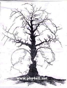 صور خداع بصري optical illusion Photo صور خداع بصري optical illusion Photo
