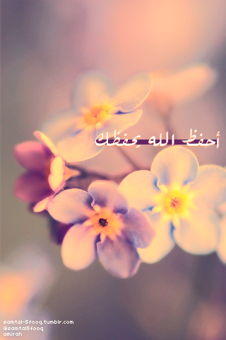 صور اسلاميه خلفيات اسلاميه صور ادعيه و خلفيات صور اسلاميه خلفيات اسلاميه صور ادعيه و خلفيات