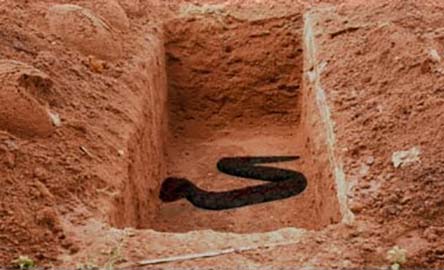 تفسير ثعبان القبر في الحلم او رؤية الثعابين في المقبرة