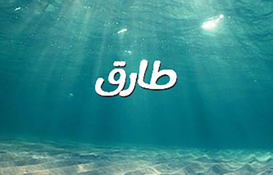 تفسير حلم اسم طارق ورؤية شخص اسمه طارق في المنام
