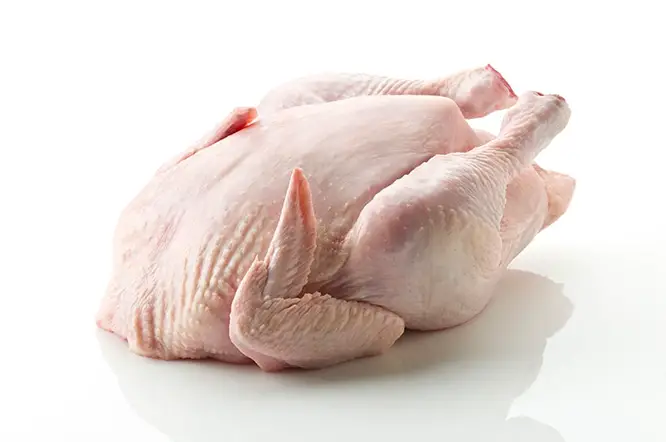 تفسير الدجاج المذبوح في المنام لابن سيرين