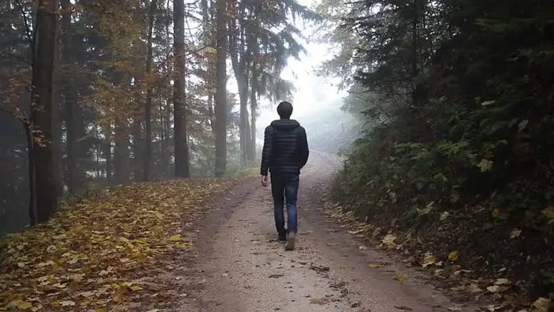 تفسير حلم المشي في الغابه في المنام لابن سيرين