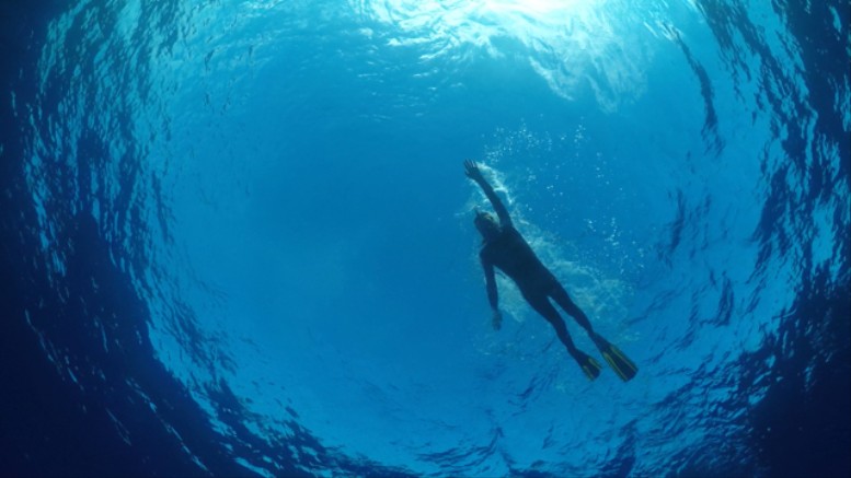 تفسير حلم السباحة في البحر في المنام لابن سيرين