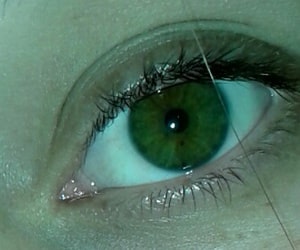 تفسير العيون الخضراء في الحلم العين الخضراء في المنام