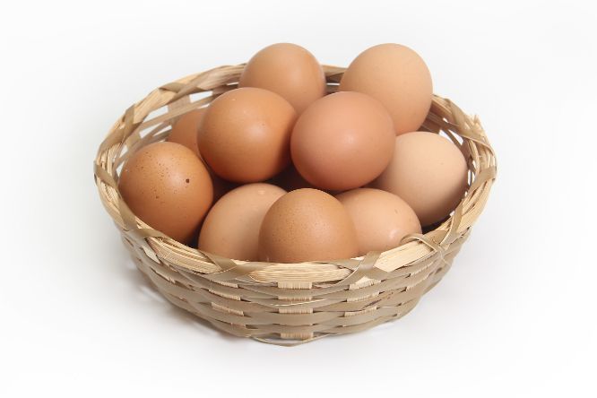 تفسير حلم بيض الدجاج في المنام لابن سيرين