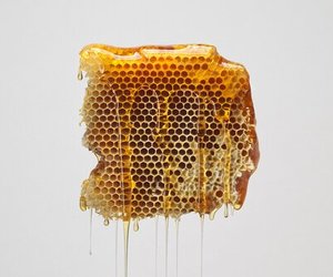 تفسير حلم شراء العسل في المنام لابن سيرين