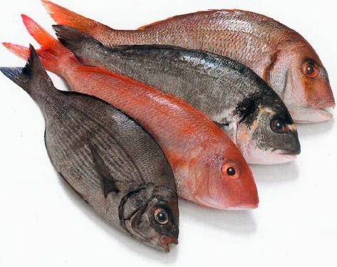 ما تفسير اكل السمك في المنام