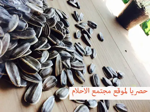 تفسير حلم حب دوار الشمس رؤية اكل بزر زهر عباد الشمس في المنام