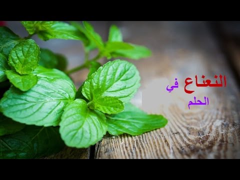 تفسير النعناع في الحلم للبنت العزباء وللمتزوجه والحامل