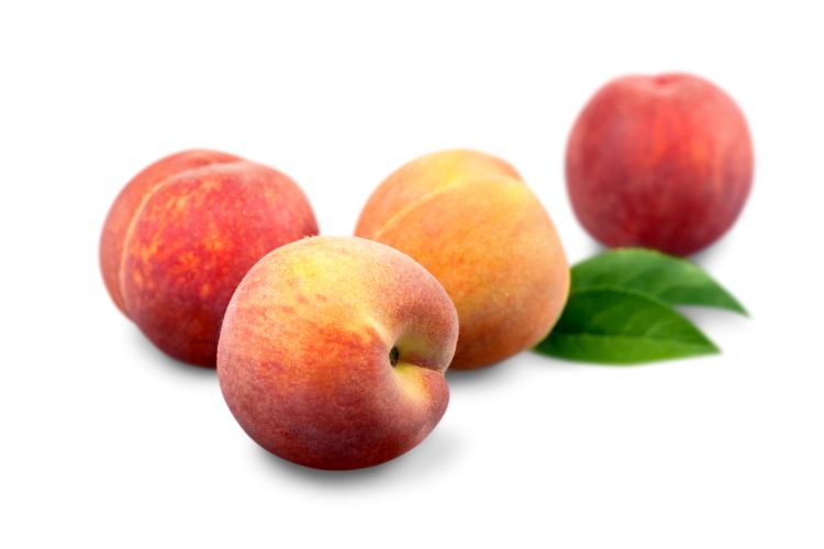 تفسير الخوخ في المنام للعزباء والمتزوجه والحامل